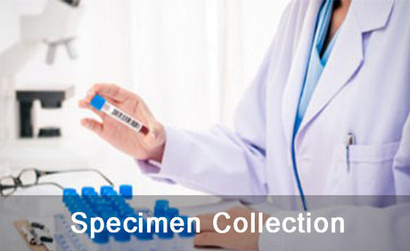 Specimen Collection
